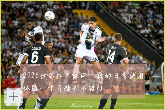 2026世界杯买球网：我的日常使用体验，体育精彩不错过