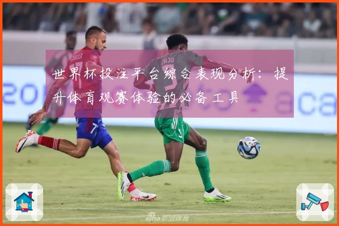 世界杯投注平台综合表现分析：提升体育观赛体验的必备工具