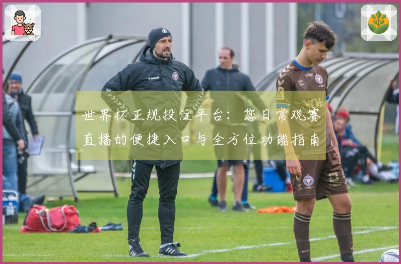 世界杯正规投注平台：您日常观赛直播的便捷入口与全方位功能指南